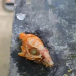 抖音網傳影片當中,一碗布滿辣油的麻辣牛肉麵旁,桌上放了一個動物的頭骨,看起來超像老鼠頭