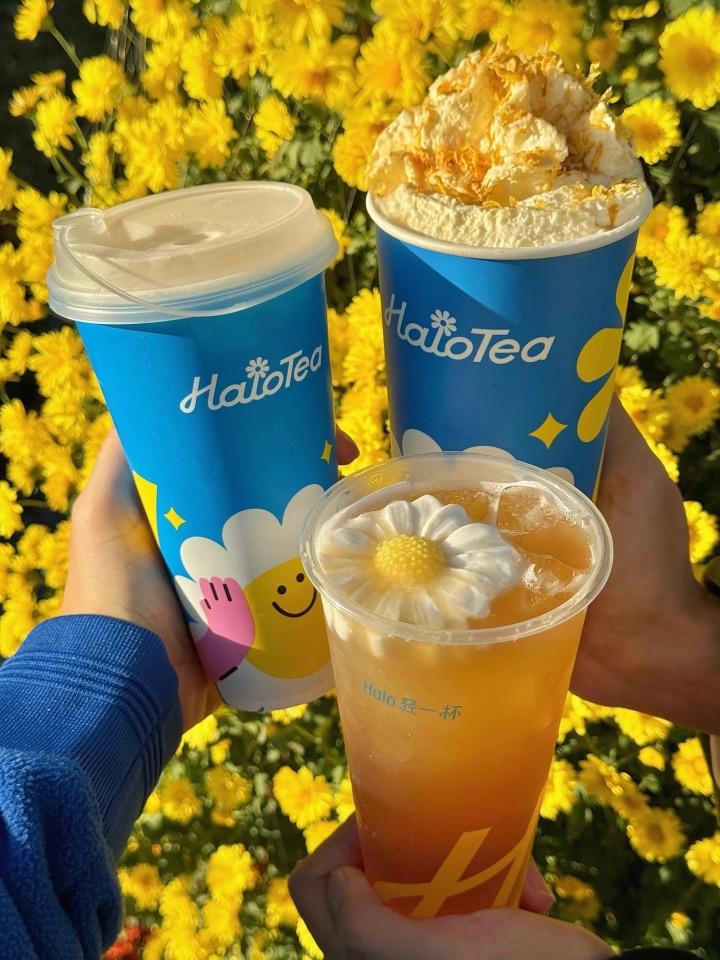 到今天,菊花已能製造出不同的潮流飲品,吸引年輕人。(網上圖片)