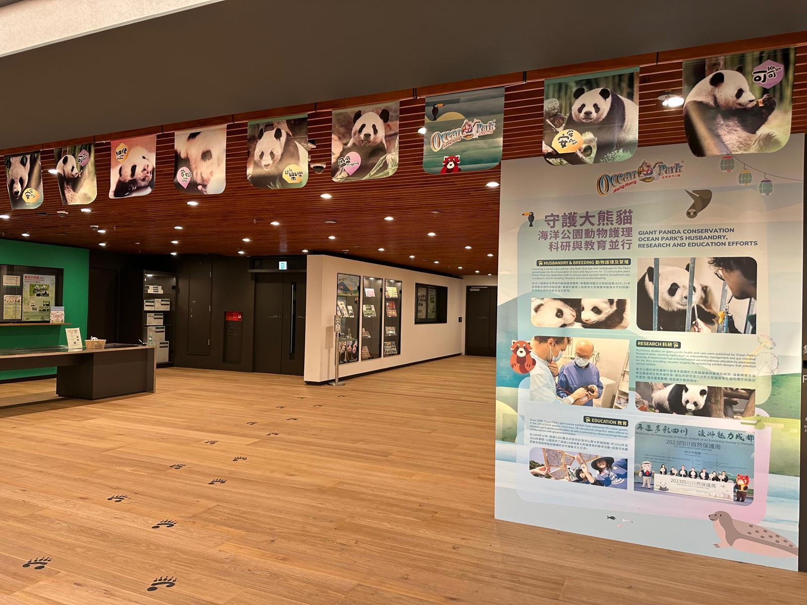 九龍灣郵政局大熊貓主題裝飾