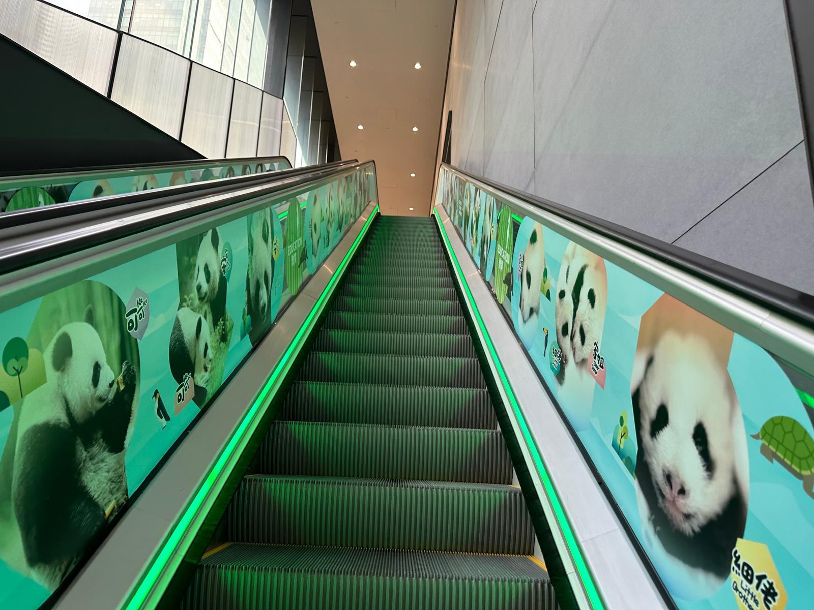 九龍灣郵政局大熊貓主題裝飾