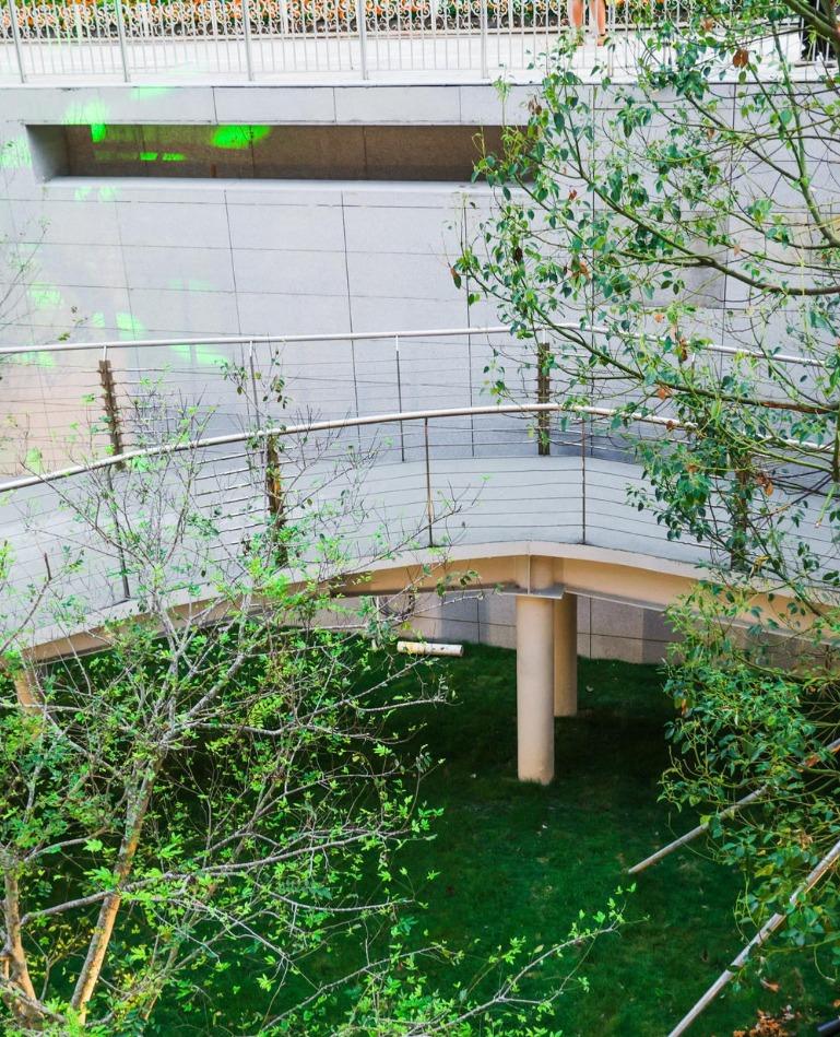 Kaledo騎行公園的單車徑, 四周有大量植物,就像一般公園一樣。(圖片來源:Kaledo微信)