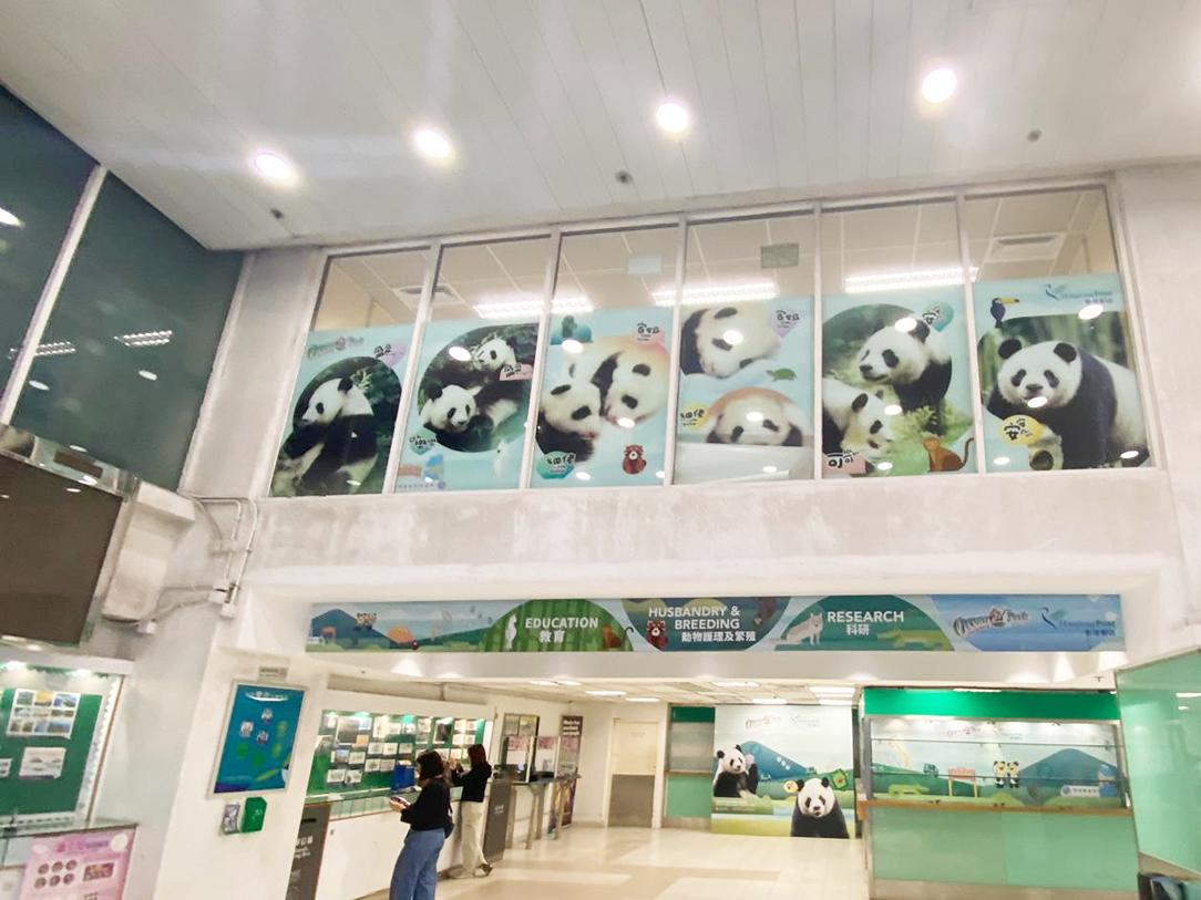 尖沙咀郵政局大熊貓主題裝飾