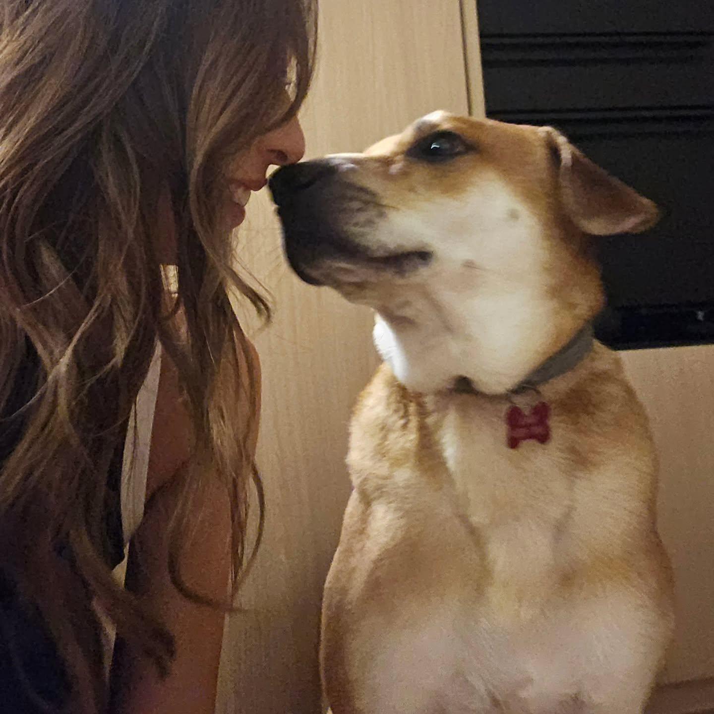 李旻芳熱情想貼近愛犬,狗狗下一秒即縮。