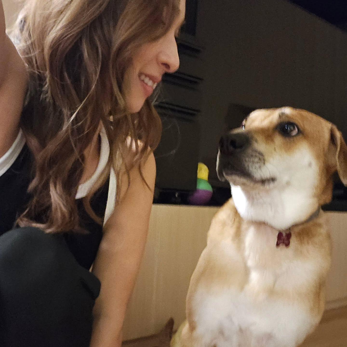 狗狗一副蔑視表情對著李旻芳。