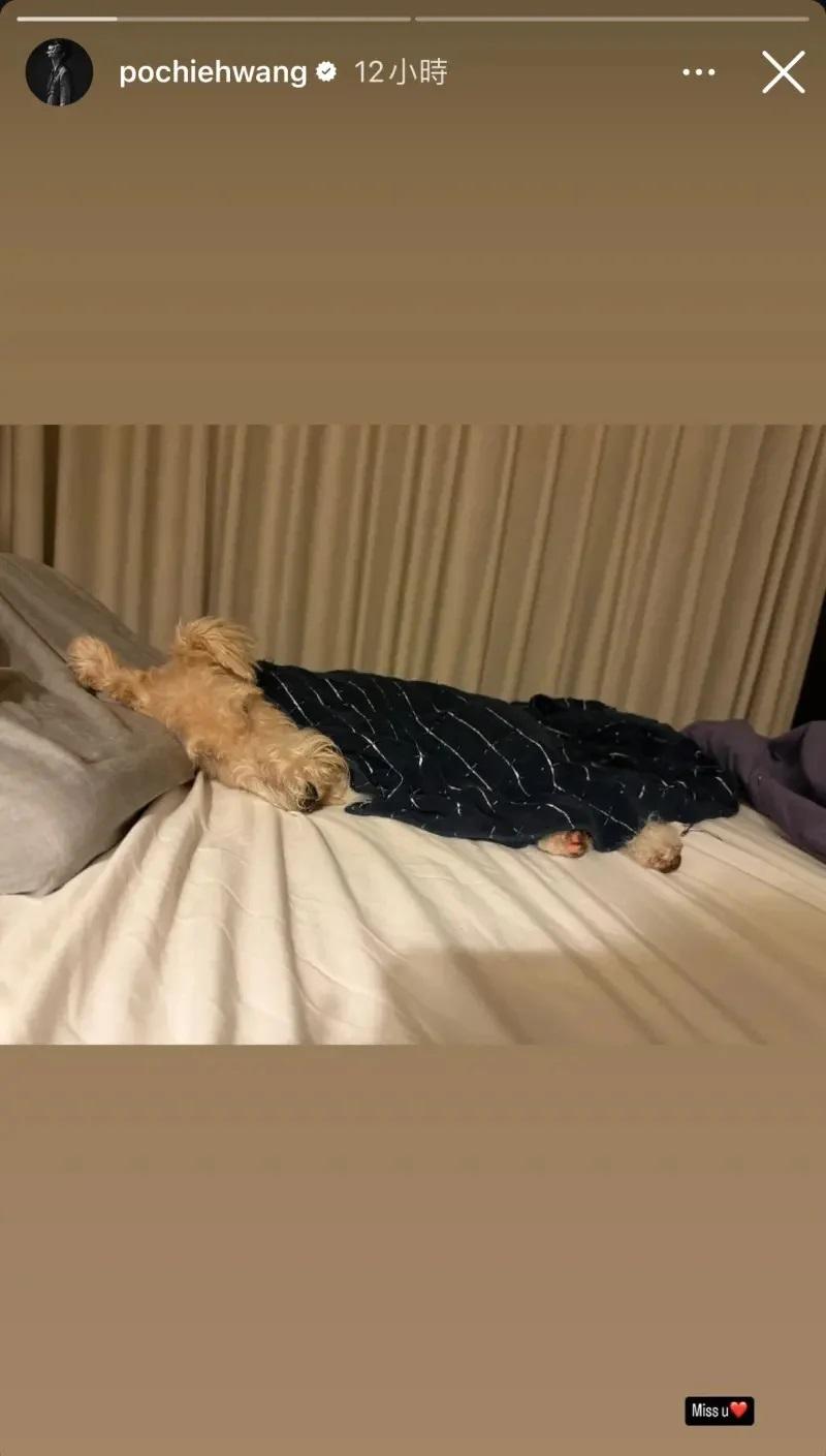 王柏傑日前深夜則透過IG限時動態貼出二人愛犬照片,右下角寫了「Miss U」。