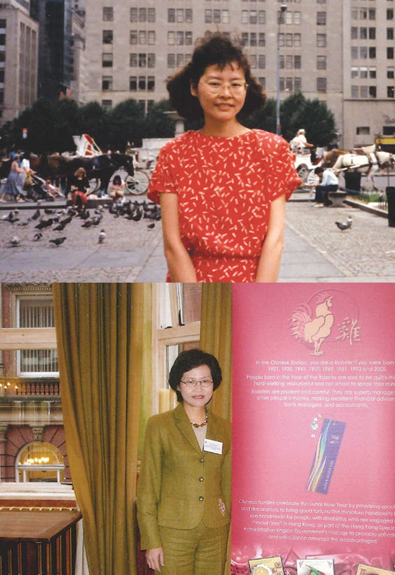 林鄭月娥競選特首期間印刷的生平刊物內容。(刊物截圖)