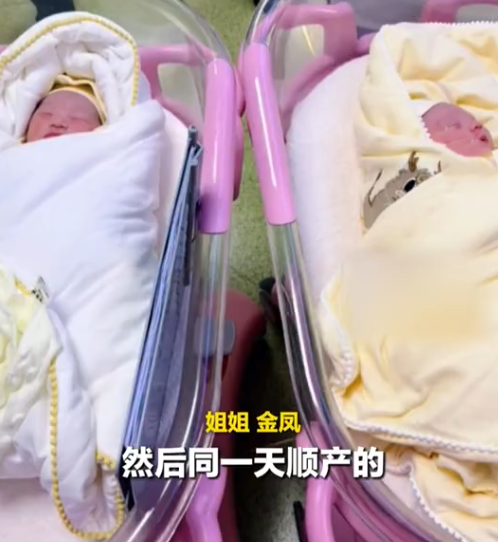 雙胞胎姊妹金鳳及玉鳳同日順利順子,相隔只有半小時。