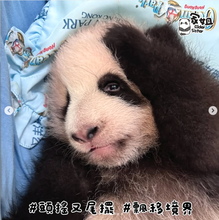 家姐諗緊咩呢?(海洋公園)