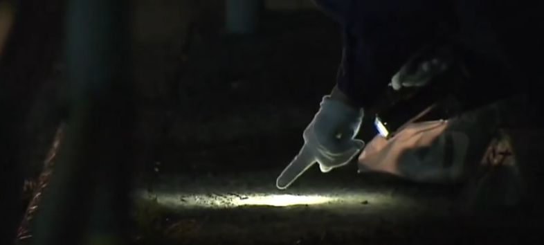 案發的麥當勞位於福岡縣北九州市。(互聯網)