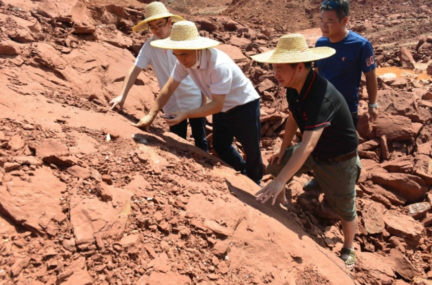 其中一名發現恐龍蛋的香港人,是在香港地質公園任職導賞員的業餘地質愛好者葉恒榮;他指原本是打算考察河源市郊的紅砂岩地貌,無意中發現公園山坡上的岩石疑似恐龍蛋化石,對此感到意外。 (網上圖片)