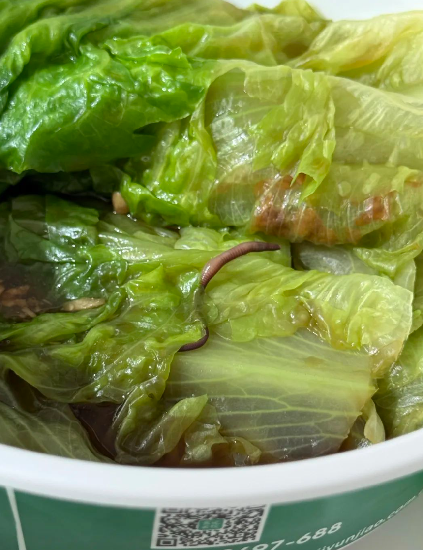 多名內地網民曾反映於袁記雲餃吃出異物,一名消費者發文稱,在11月27日透過點餐平台下單後發現生菜中夾帶一條完整的紅褐色蚯蚓。(網上圖片)