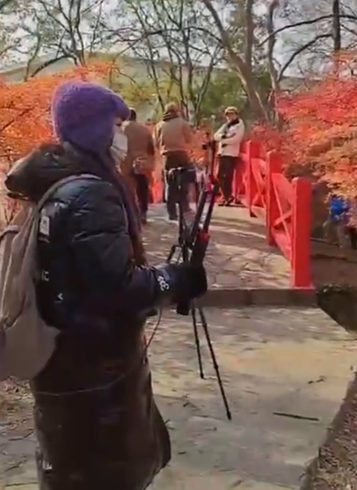 南京當地有女子穿上和服在南京中山植物公園拍照,但被途人怒斥後穿回外套遮蓋。(影片截圖)
