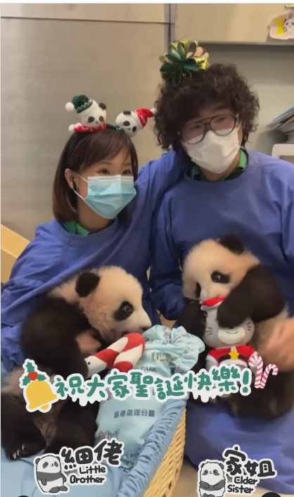 家姐細佬攬著聖誕禮物。(海洋公園)