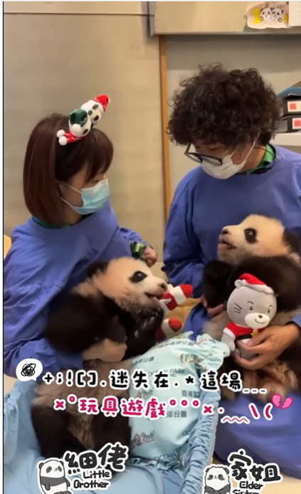 家姐細佬攬著聖誕禮物。(海洋公園)