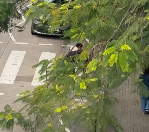 樂富一名司機主動落車攙扶一位持柺杖的老翁橫過斑馬線,兩線的車龍均耐心靜待(影片截圖)