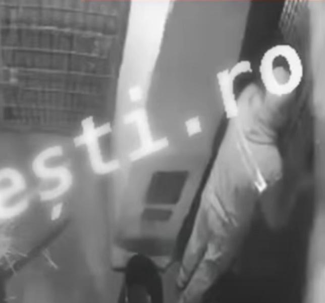 涉事飼養員懷疑因疏忽未依規定關上安全門,便直接打開囚禁老虎的鐵門。(YouTube)