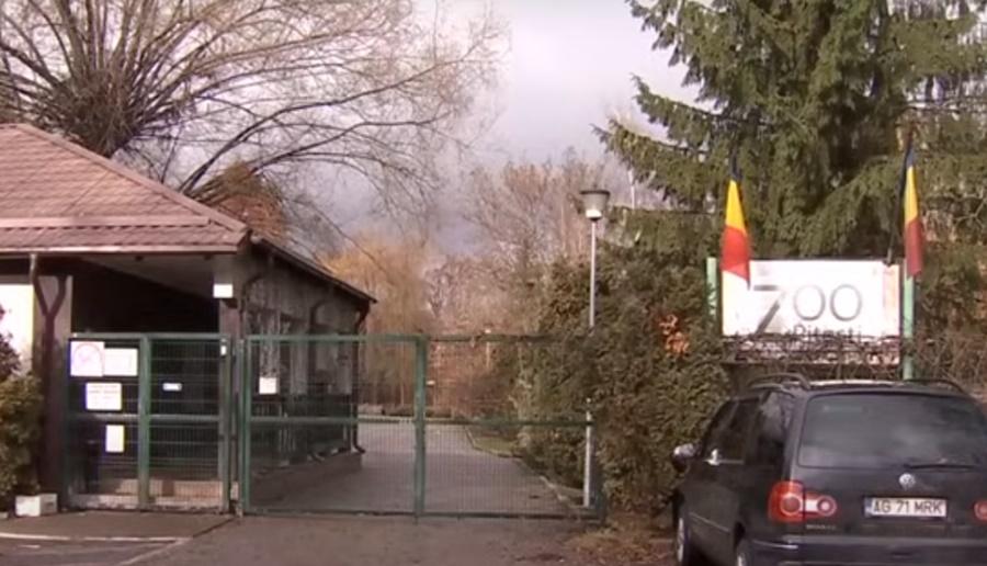 皮特什蒂動物園(Pitesti Zoo)。(YouTube)