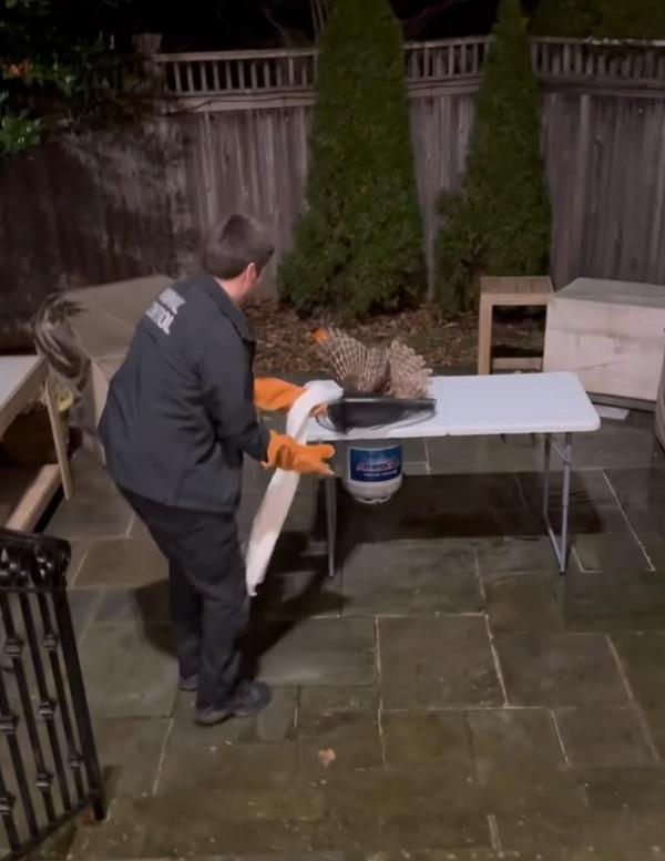 最後動保人員到場將貓頭鷹捕捉,並帶到室外即場放生。(FB)