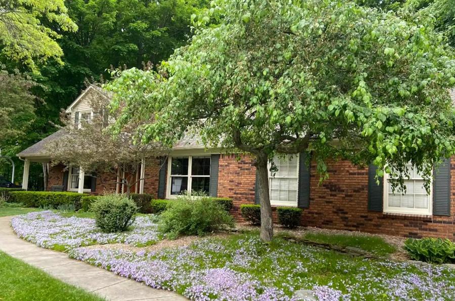 Anna的舊居外貌。(網上圖片)