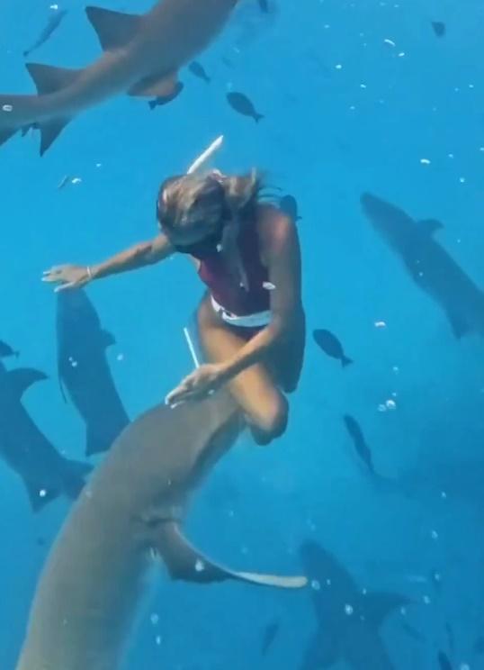 Lilian Tagliari在馬爾地夫潛,與一群護士鯊游泳時,小腿突然遭一條護士鯊咬了一口。(IG)