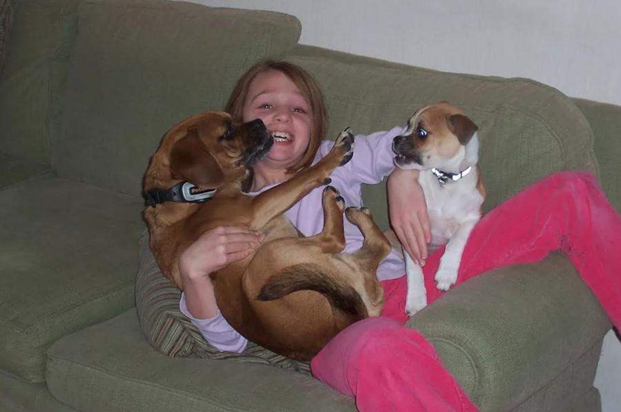 Anna Costley與愛犬Louie和Josie。(網上圖片)