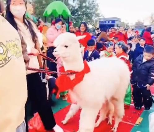 活動包括給禮金、迎親、吃喜酒都在活動流程範圍之內。(微博)