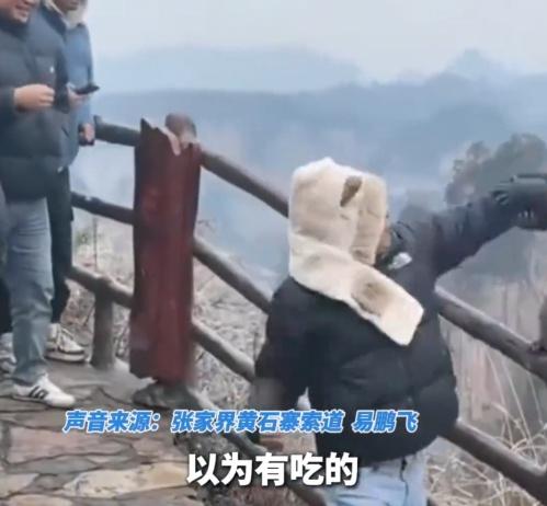 男子連環揮拳,猴子被逼退到欄杆最底層。(微博)