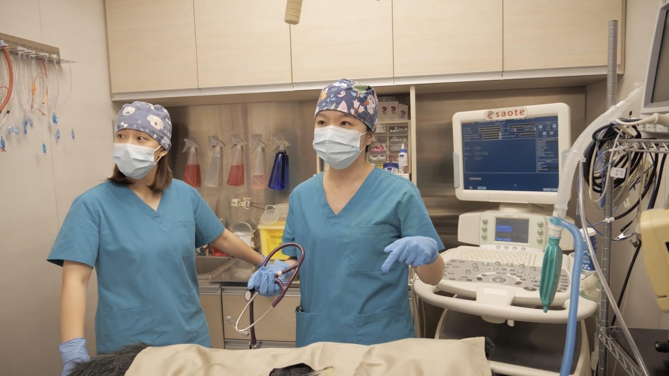 阿正為演好角色,專程跟獸醫學習急救的知識、動作和專業用語。