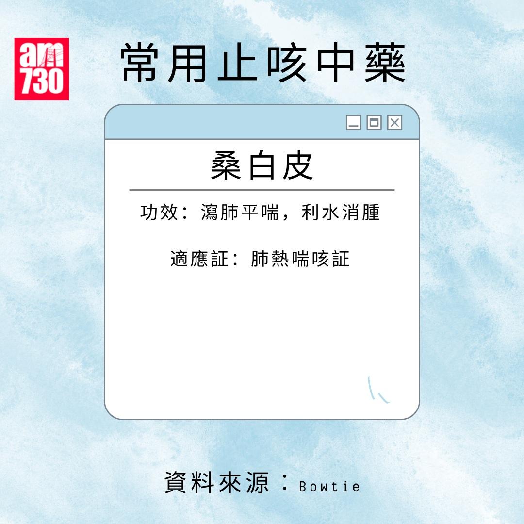 常用止咳中藥|桑白皮(am730製圖)
