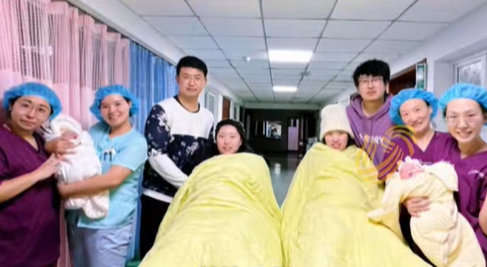 雙胞胎姊妹金鳳及玉鳳神同步懷孕及產子,成為網上熱話,獲網民一面倒恭喜。