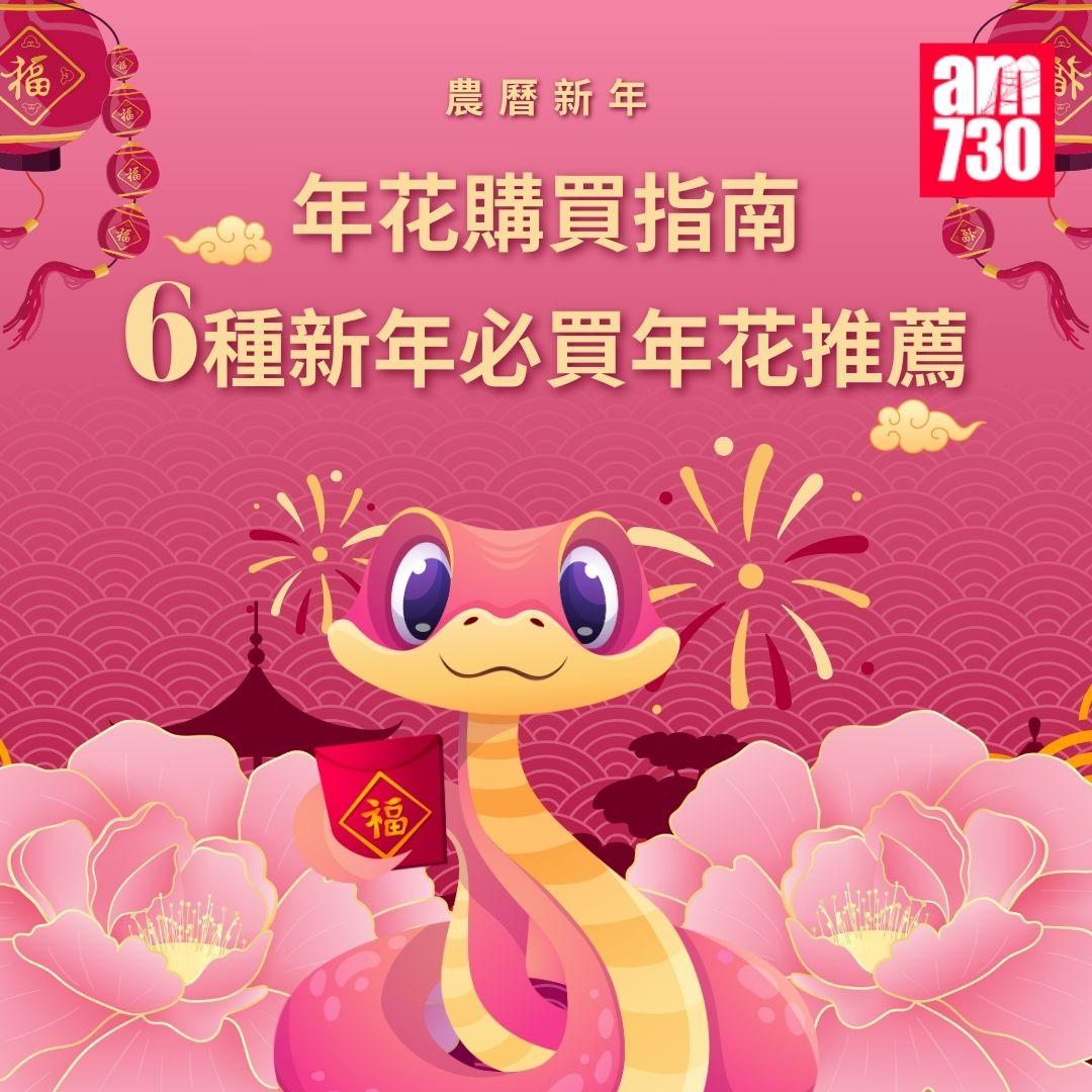 年花購買指南|6種新年必買年花推薦