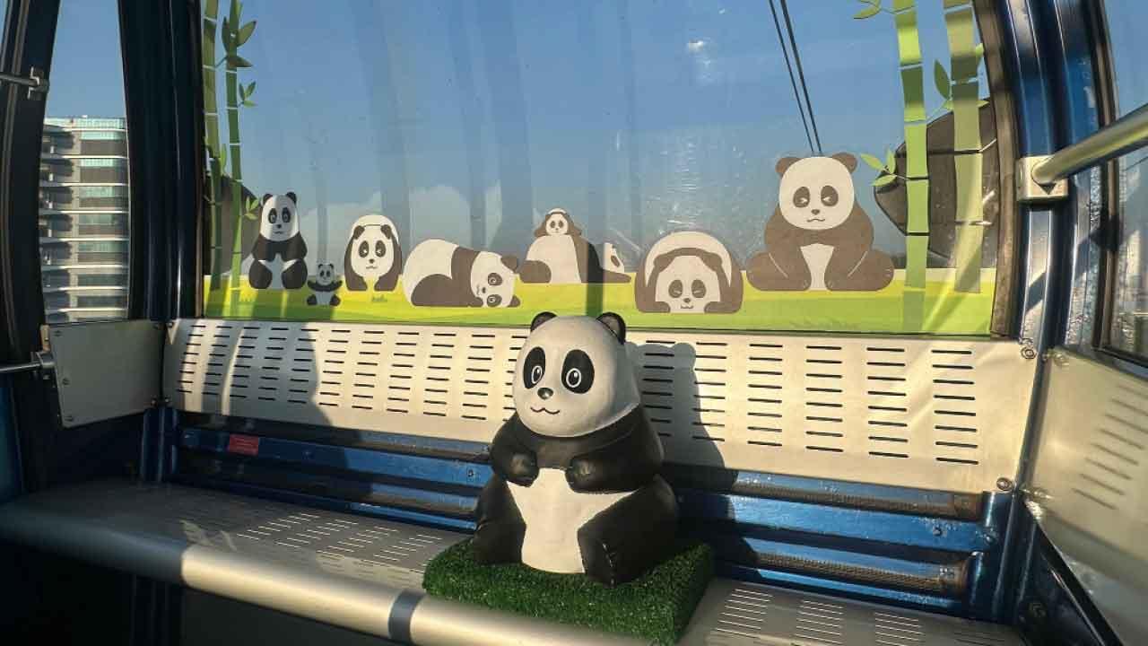 700大熊貓雕塑周六日遊昂坪360