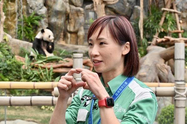 胡綺琪說中國大熊貓保護研究中心派出四川專家留港協助侍產和育幼,對護理團隊有很大幫助,也令她護理大熊貓的經驗更圓滿。(政府新聞網圖片)
