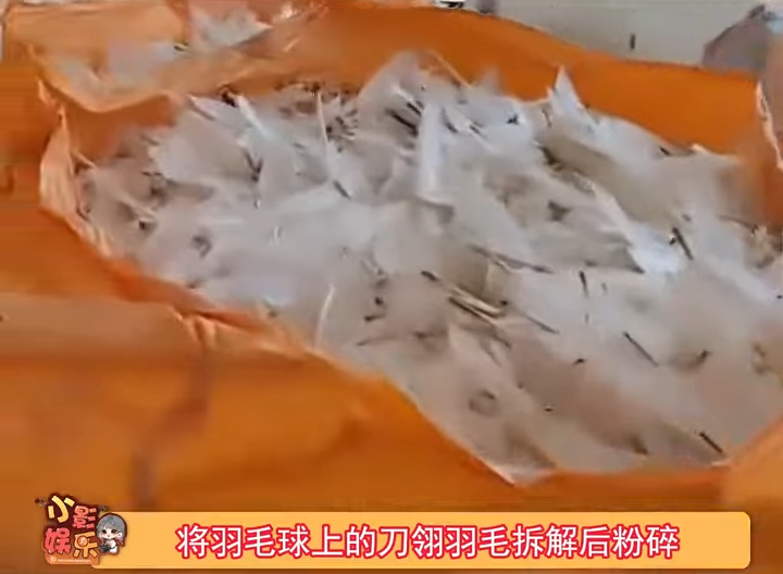 有人把羽毛球的刀翎羽毛粉碎後製成「羽絨」。(微博圖片)