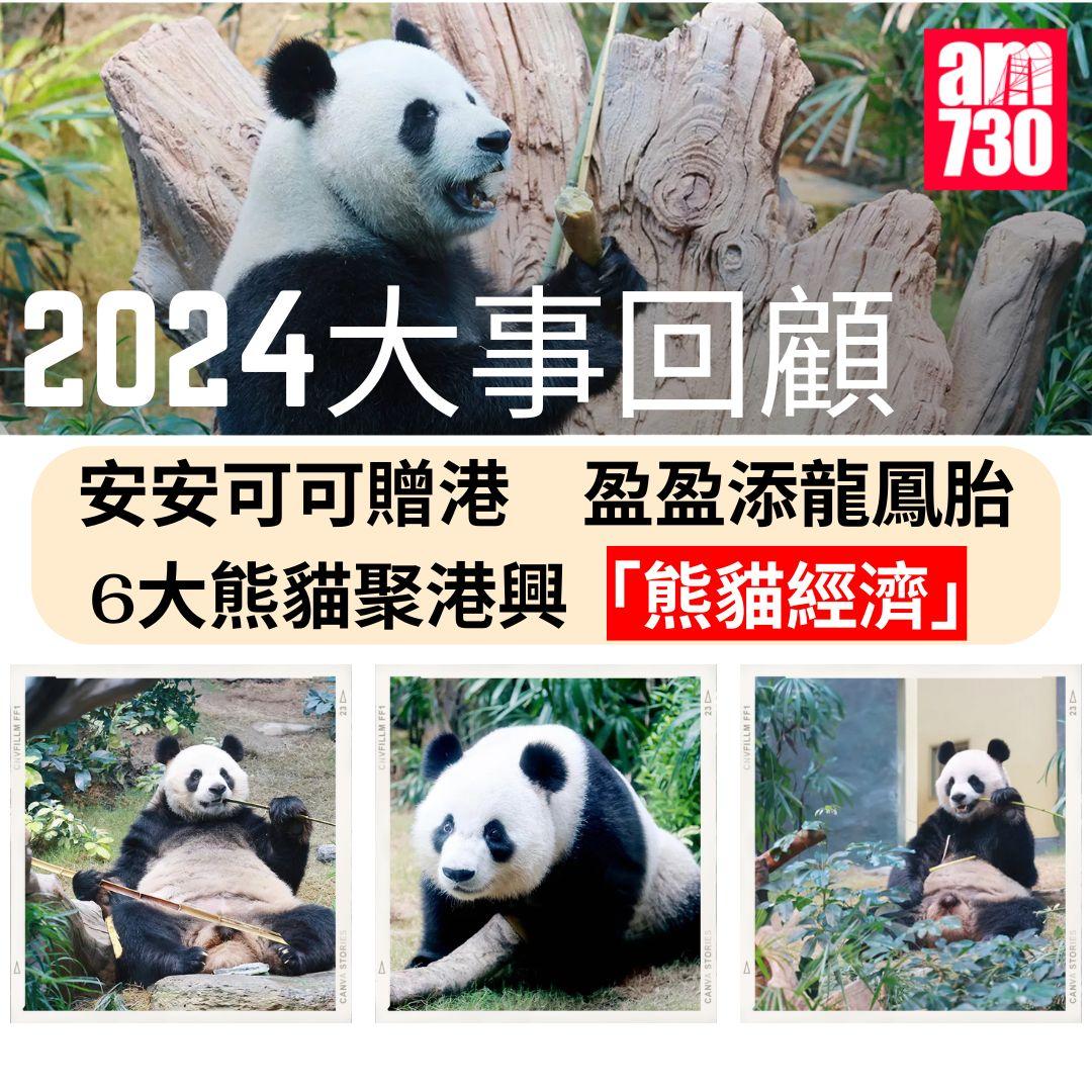 2024大事回顧|安安可可贈港盈盈添龍鳳胎 6大熊貓聚港興「熊貓經濟」