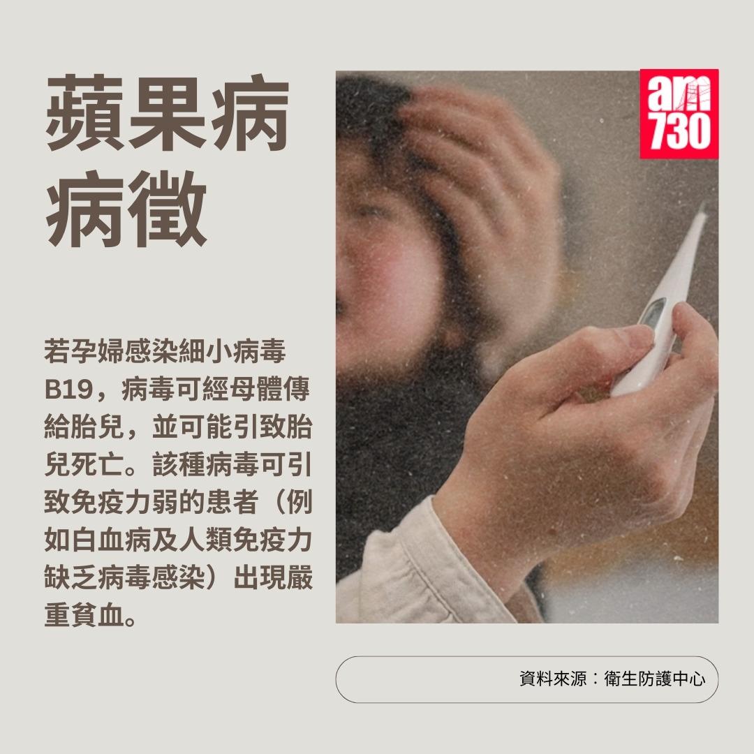 蘋果病|病徵(am730製圖)