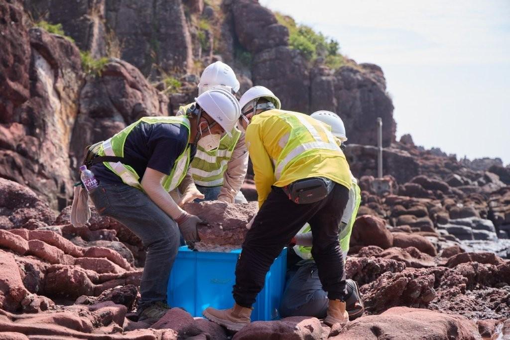 工作人員把發掘出土含恐龍化石的岩石記錄裝箱後,搬運至石灘,再運到古蹟辦倉庫。