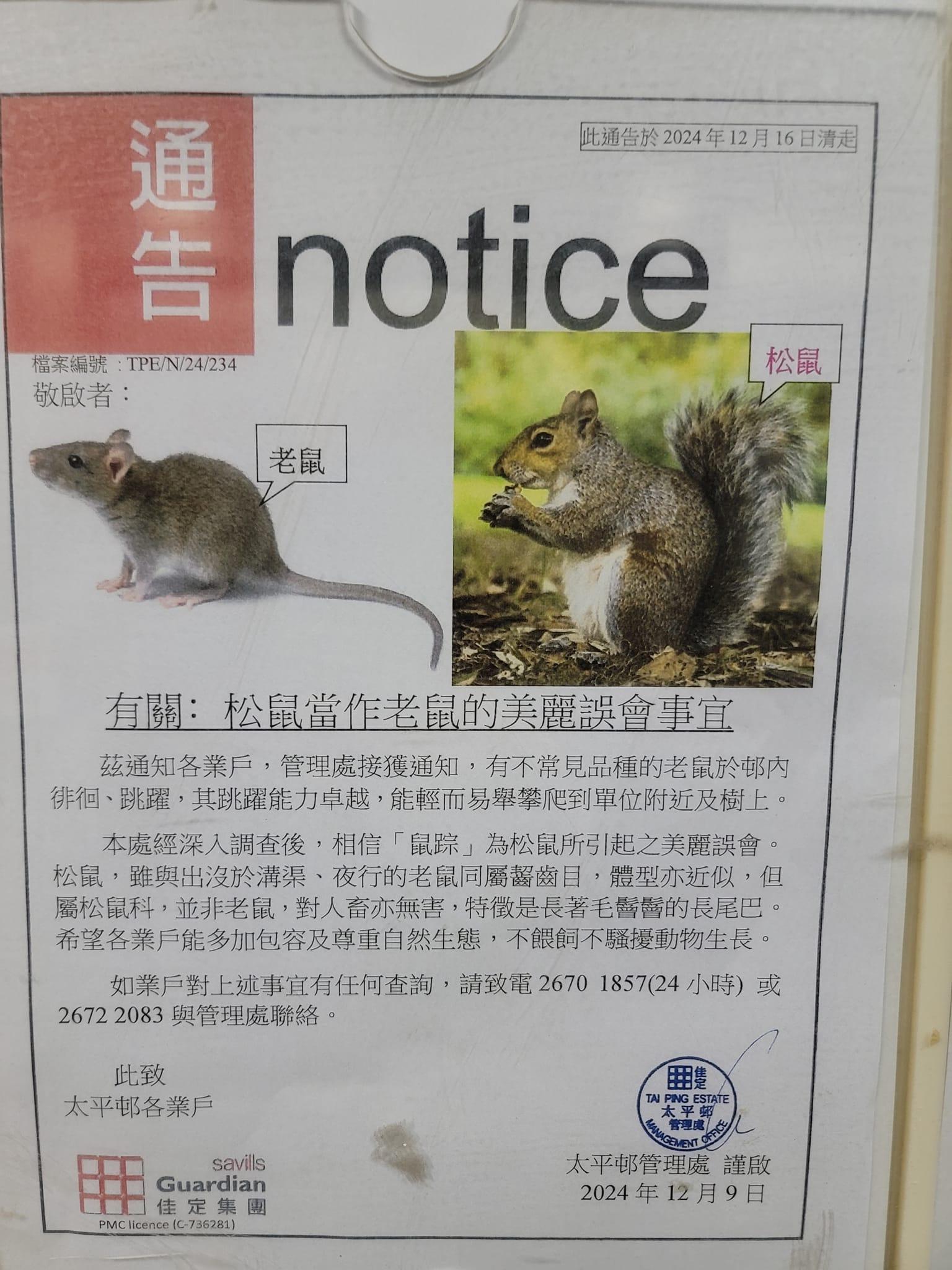 通告由「太平邨管理處」發出,指有居民投訴在邨內發現「不常見品種的老鼠」,會爬上樓和樹上。不過,經管理處調查後,發現這些「老鼠」其實只是松鼠,是一場「美麗誤會」,又教居民如何分辦。(網上圖片)