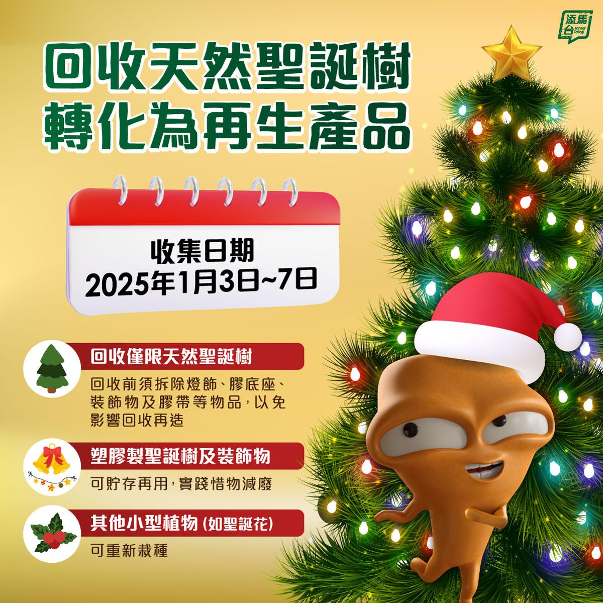 回收天然聖誕樹位置。(添馬台)