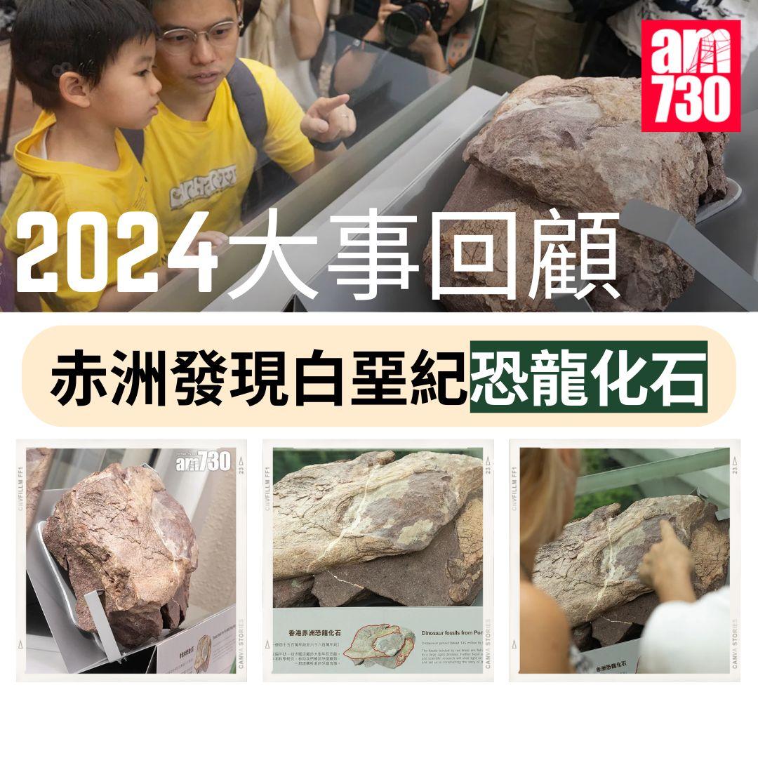 2024大事回顧|赤洲發現白堊紀恐龍化石