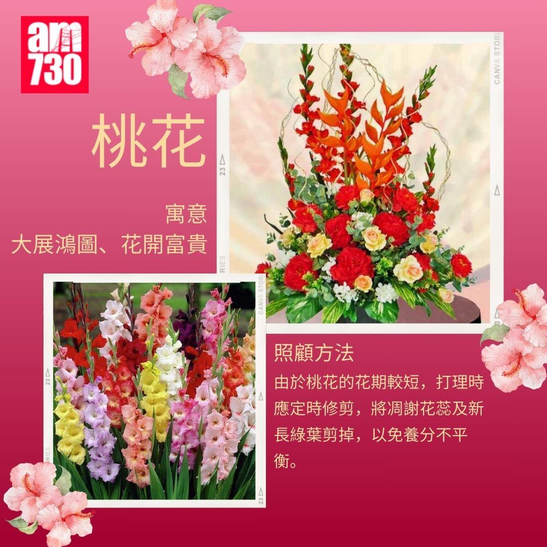 年花購買指南|6種新年必買年花推薦