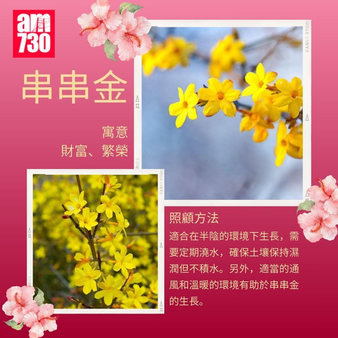 年花購買指南|6種新年必買年花推薦