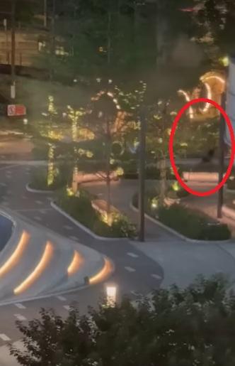 男子最終繼續半裸狂奔。(網片截圖)