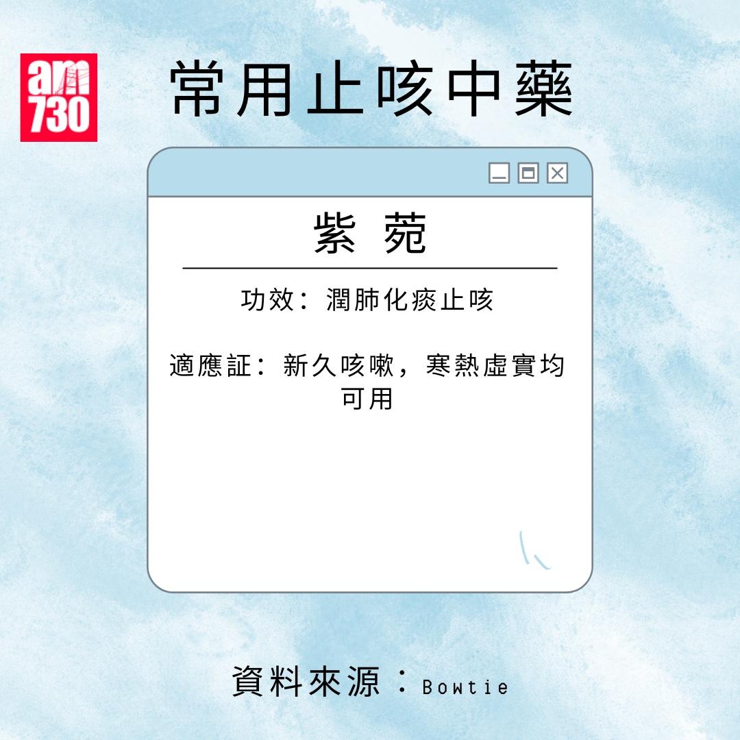 常用止咳中藥|紫菀(am730製圖)