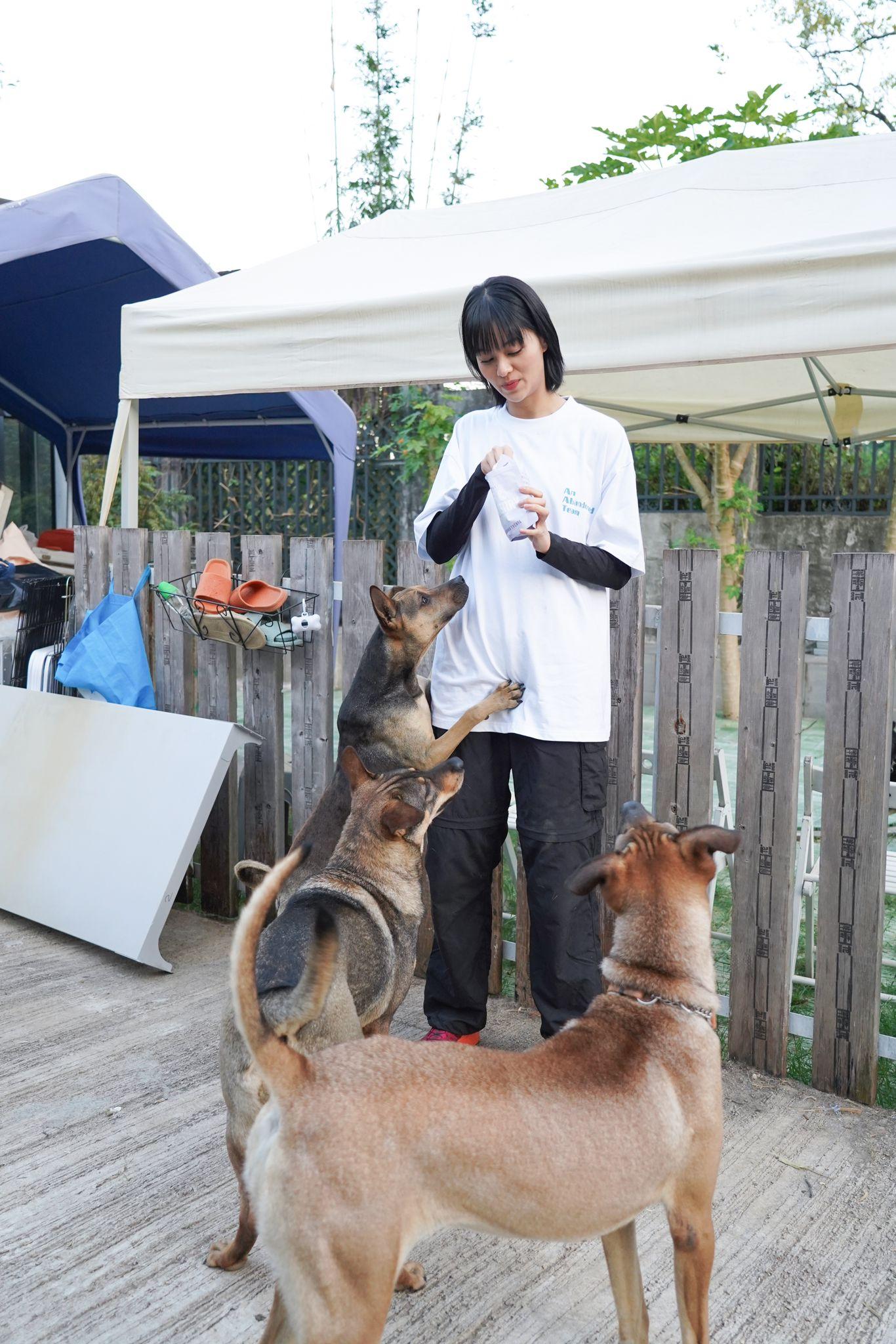 盧慧敏「悅娜」上身餵狗,見到地上有狗尿就立即清潔和消毒。