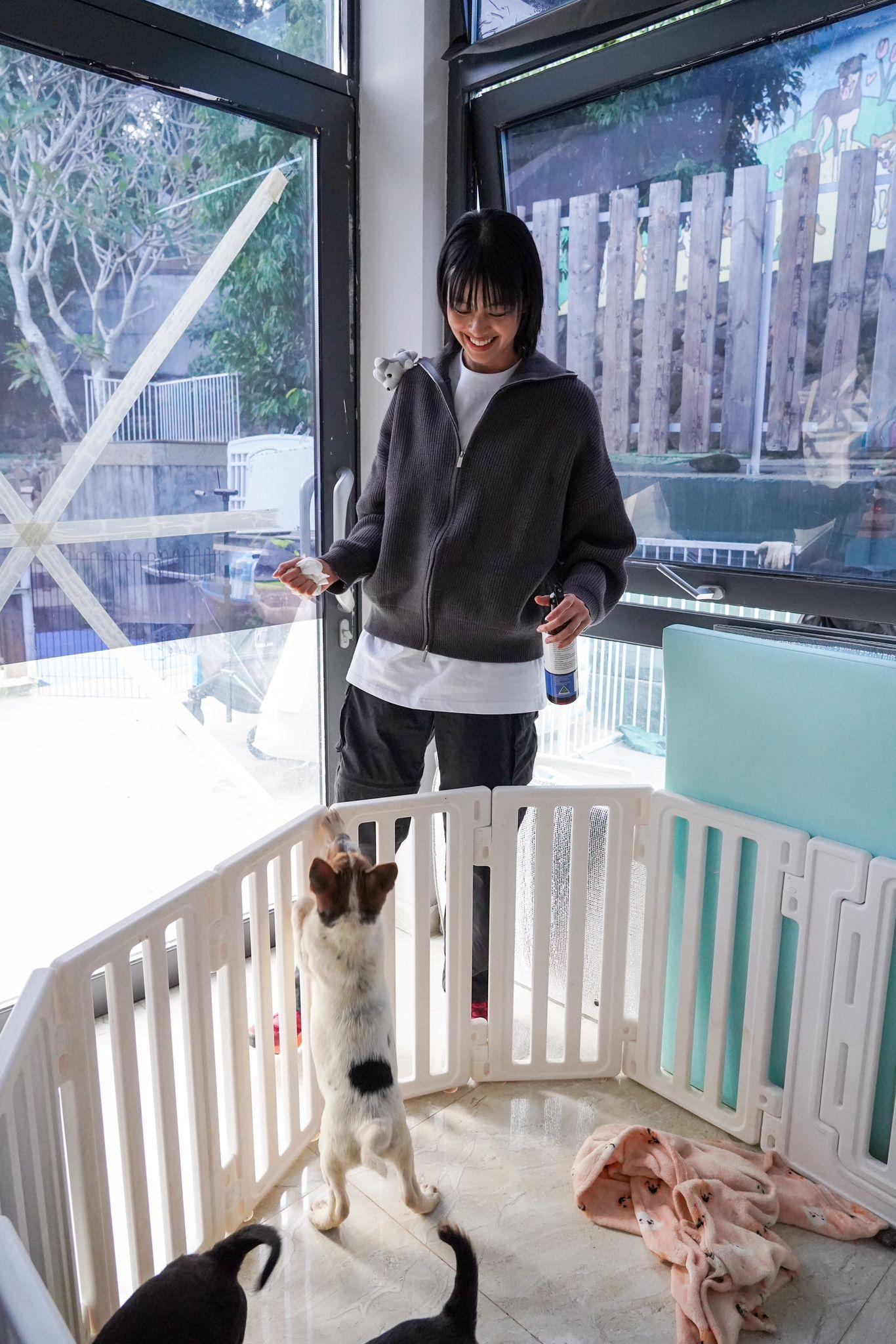 盧慧敏「悅娜」上身餵狗,見到地上有狗尿就立即清潔和消毒。