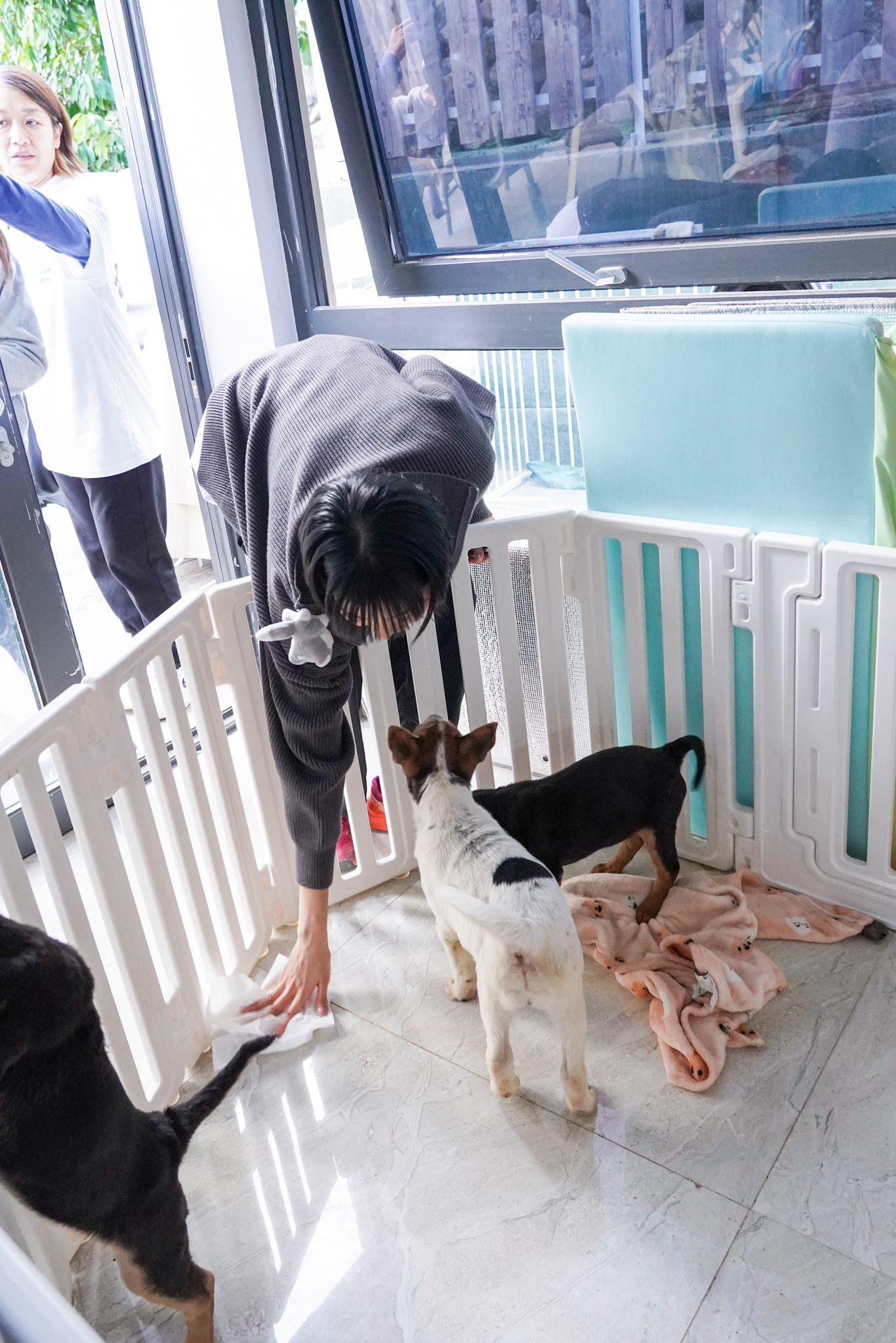 盧慧敏「悅娜」上身餵狗,見到地上有狗尿就立即清潔和消毒。