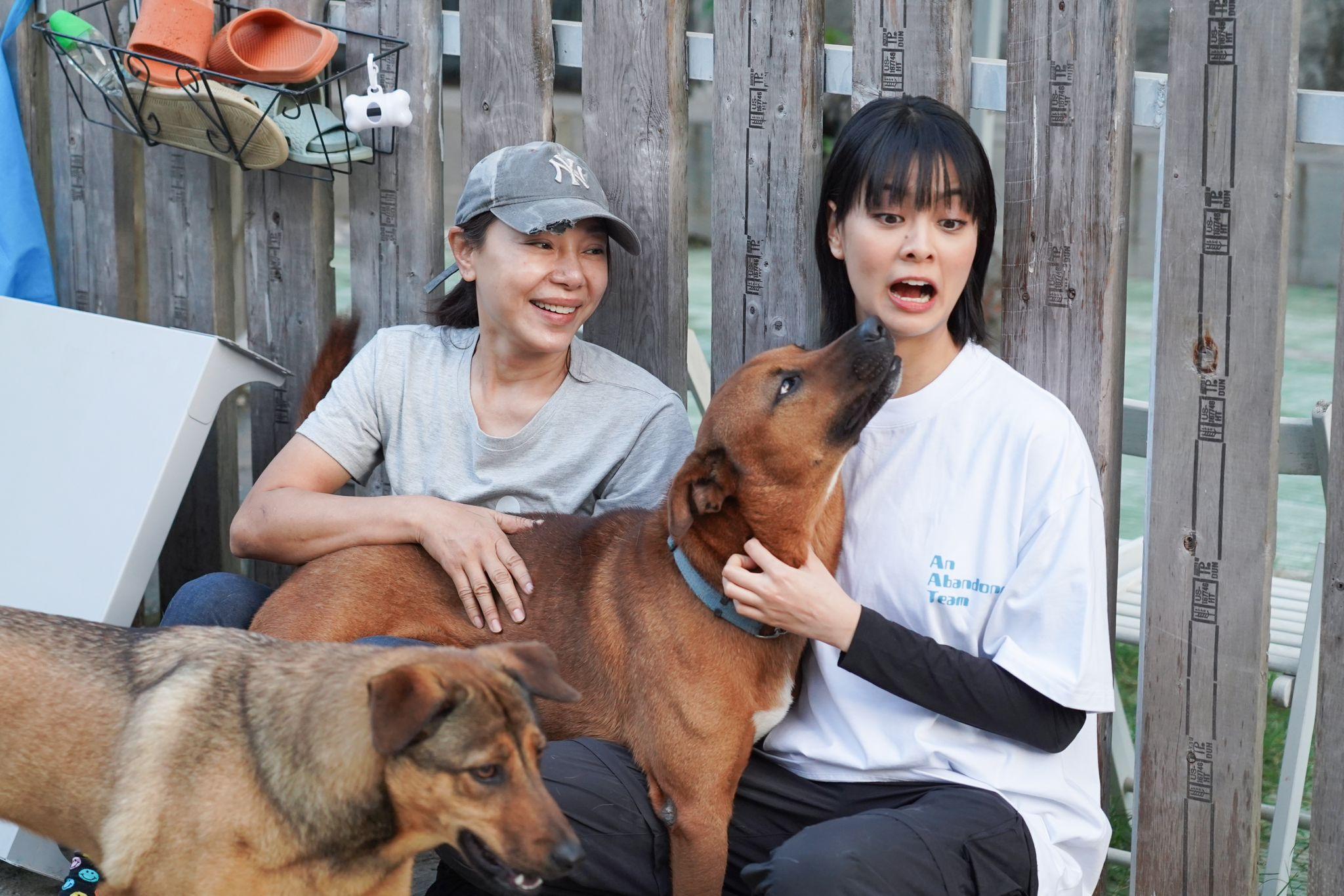 Amy Lo讚真人版「悅娜」有愛在發光 。