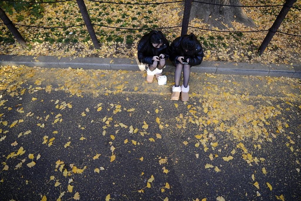 日本女生在東京尋找銀杏靚景。(美聯社)