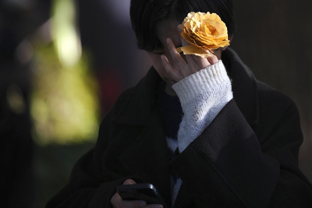 日本東京銀杏季節是11月中至12月上旬。(美聯社)